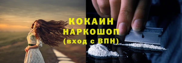 шишки Инта