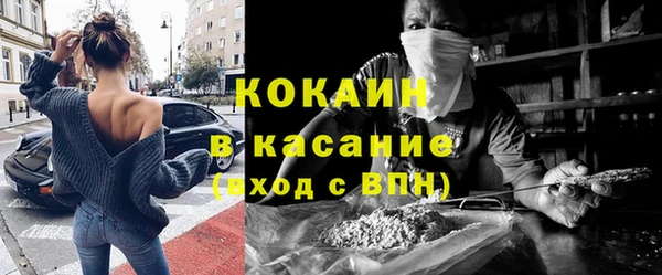 стафф Алексин