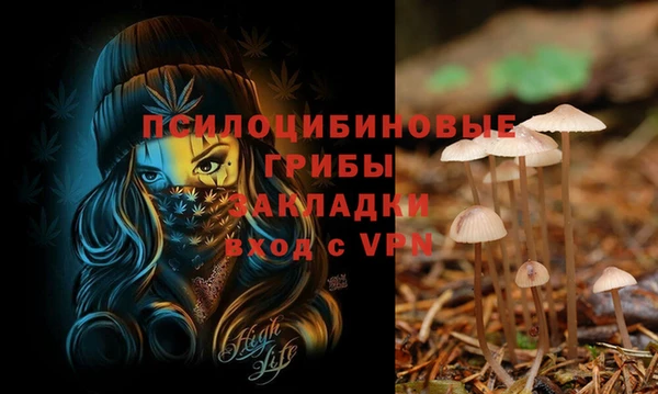 стафф Алексин